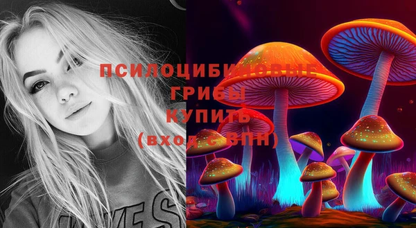 мет Бородино