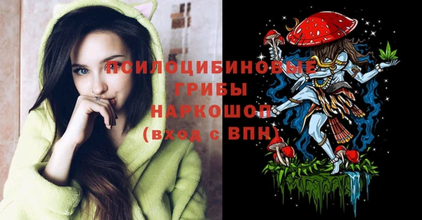 ПСИЛОЦИБИНОВЫЕ ГРИБЫ Бугульма