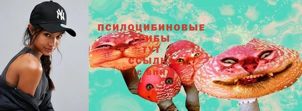 ПСИЛОЦИБИНОВЫЕ ГРИБЫ Бугульма