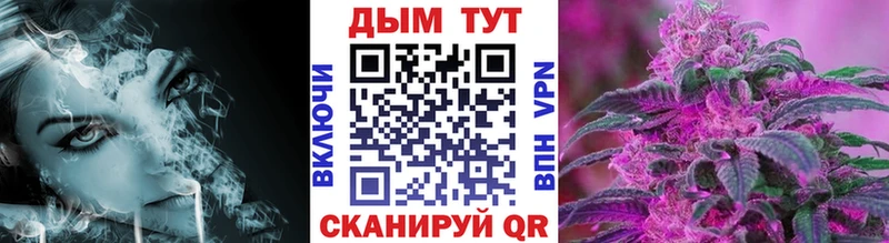 Конопля сатива Грязи